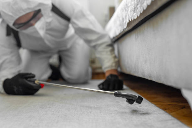Professional Termite Control technician working in Livingston County County, MO
